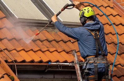 Démoussage et hydrofuge de toiture à Larrivoire